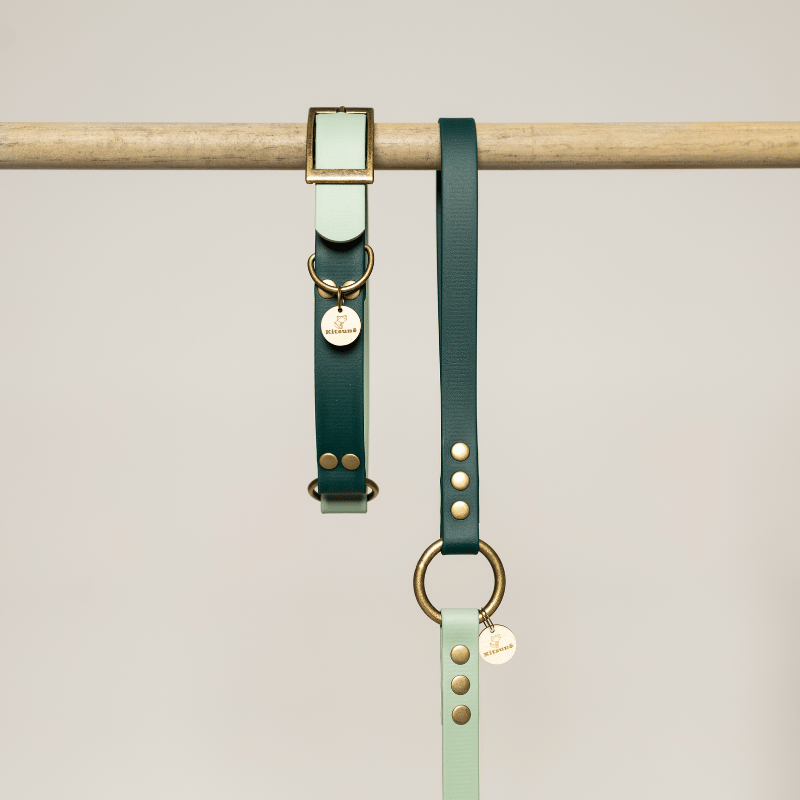 Premium mint and emerald dog collar with antique brass-effect hardware.