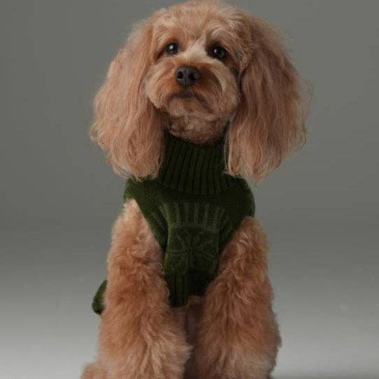 Soft breathable knitted sweater designed for everyday dog walks.