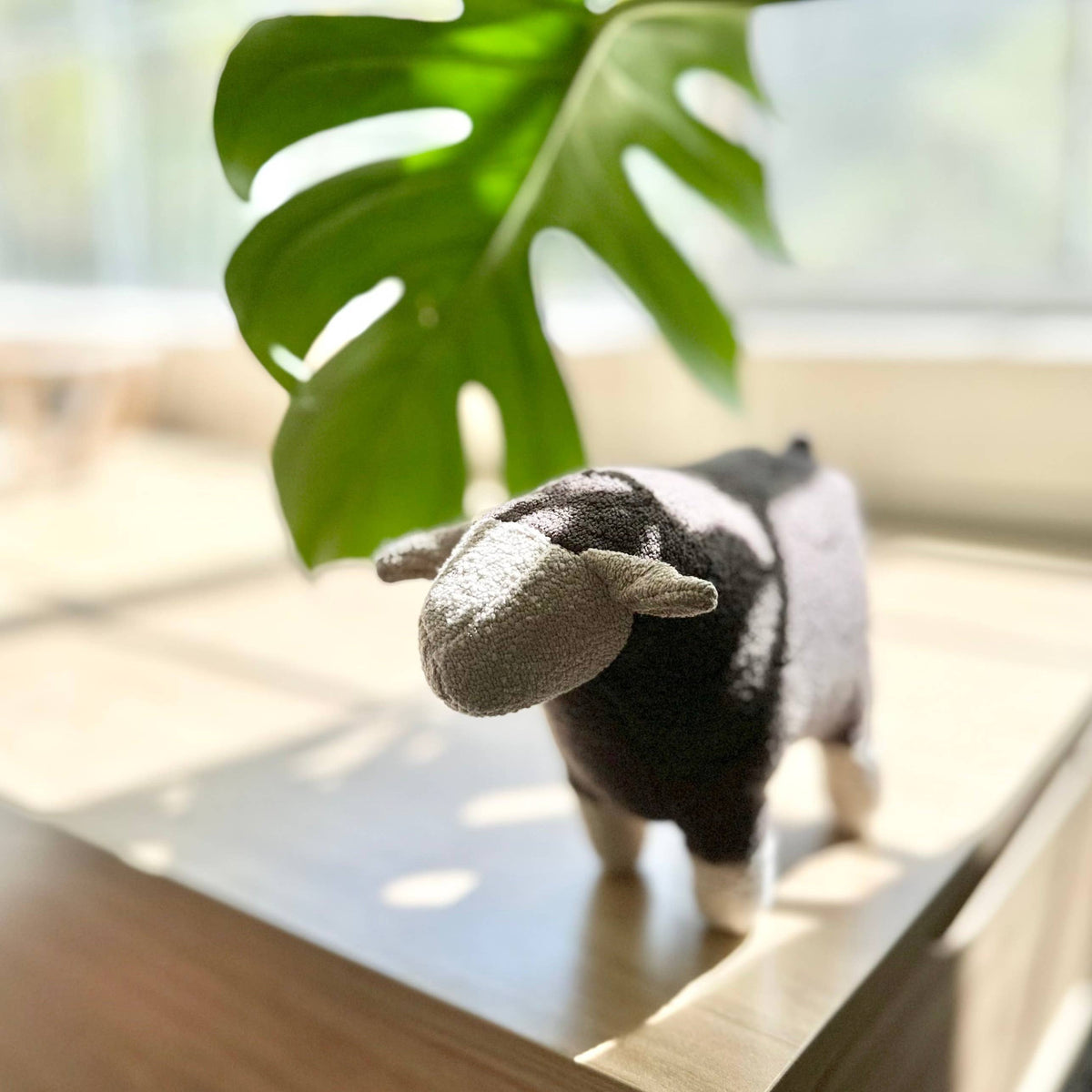 Barry the sheep squeaky dog toy by Lambwolf Collective