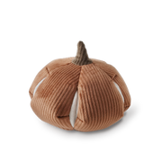 Lambwolf CINDERELLA enrichment toy with six hidden treat compartments