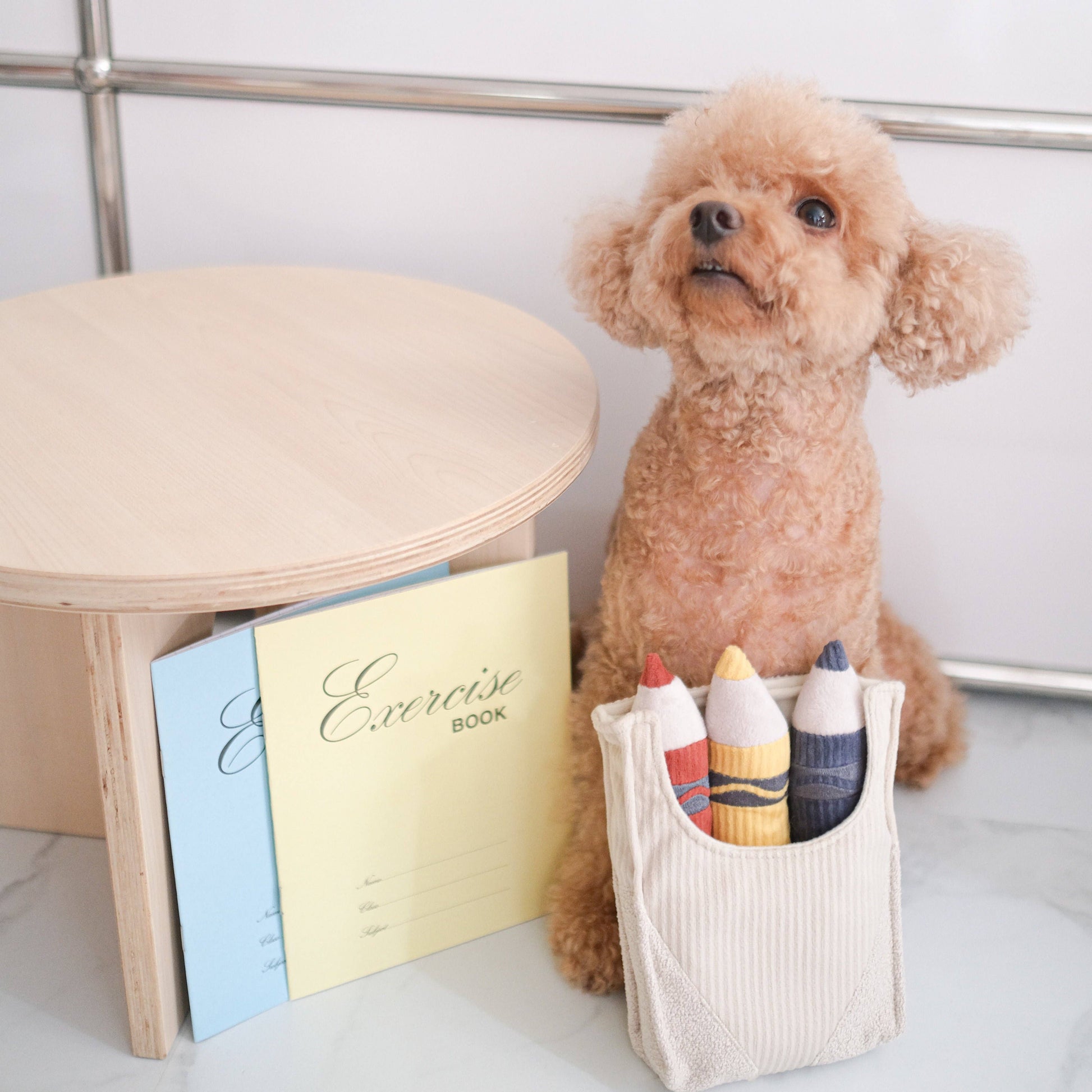 Lambwolf colourful crayon box interactive enrichment toy for dogs