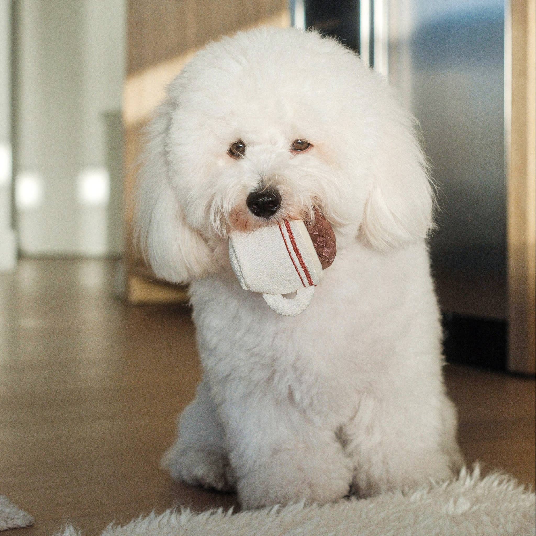 Lambwolf Espresso Pop interactive coffee cup toy for small and medium dogs