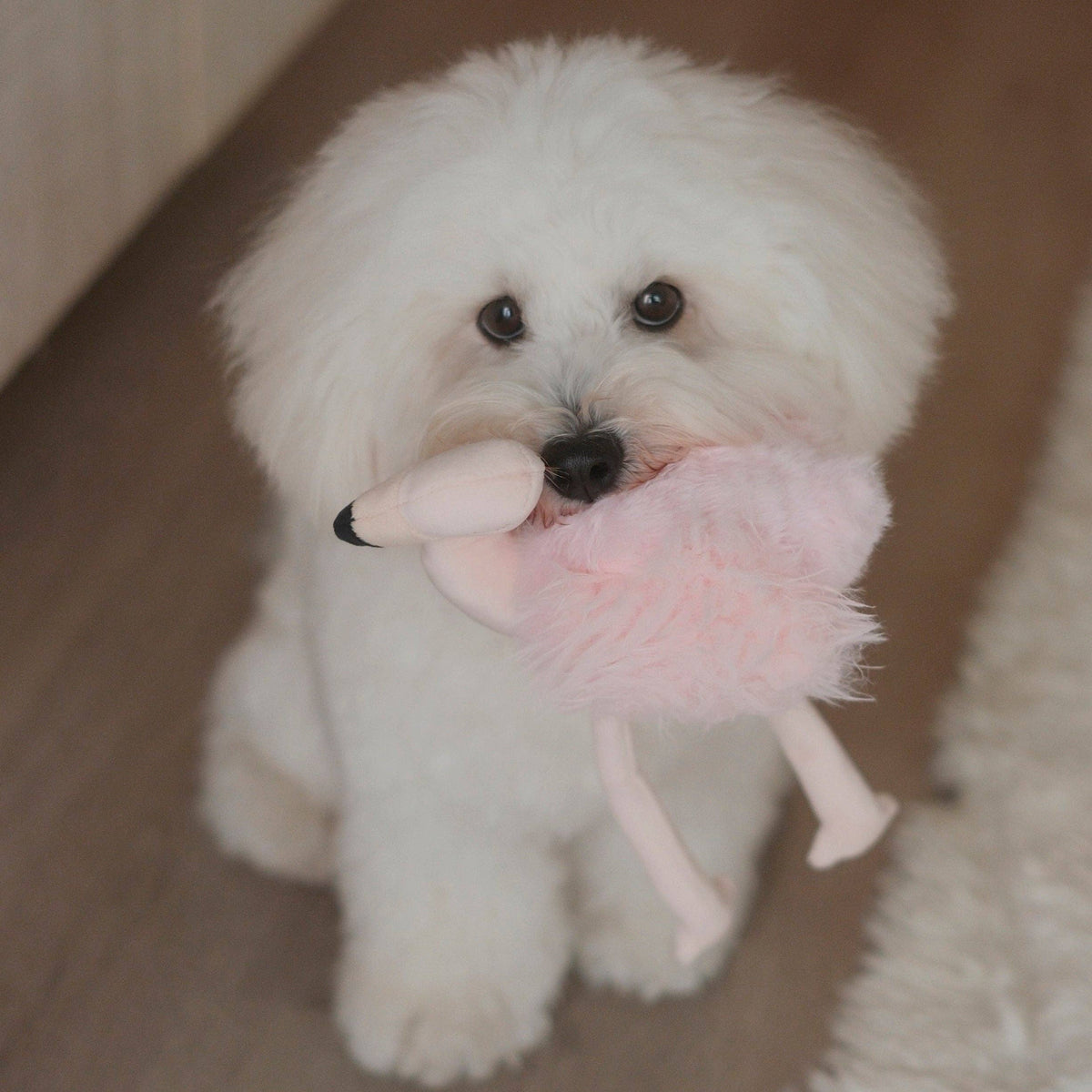Blush pink Lambwolf Flamingo plush dog toy with long crinkly legs
