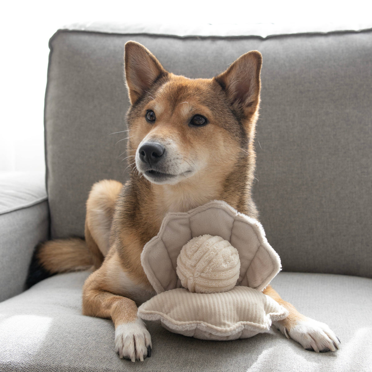 Lambwolf Oyster POP plush oyster dog toy with bouncy pearl ball