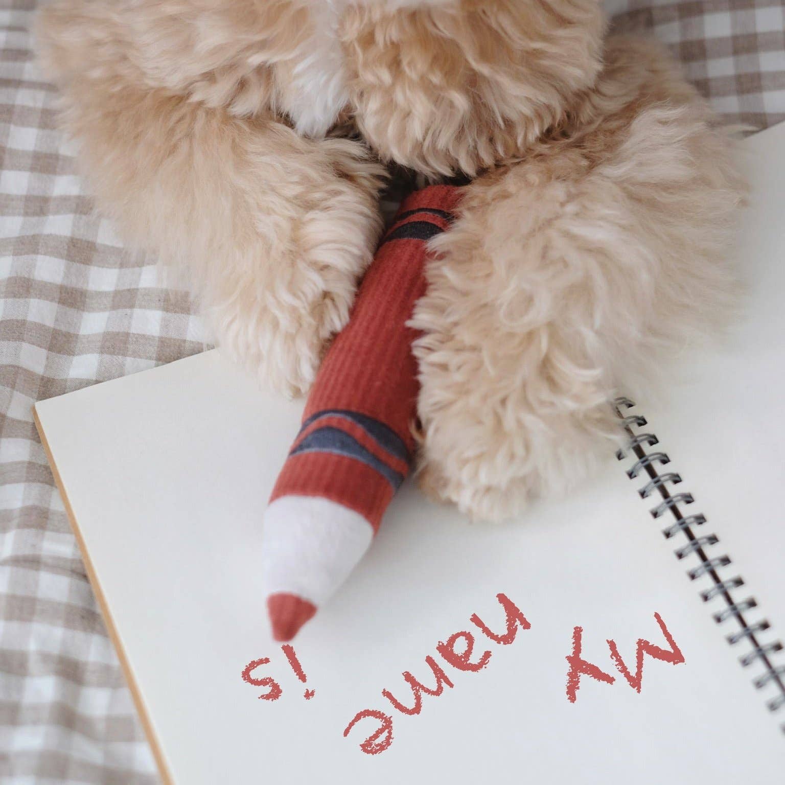 Colourful removable squeaky crayon dog toys by Lambwolf Collective
