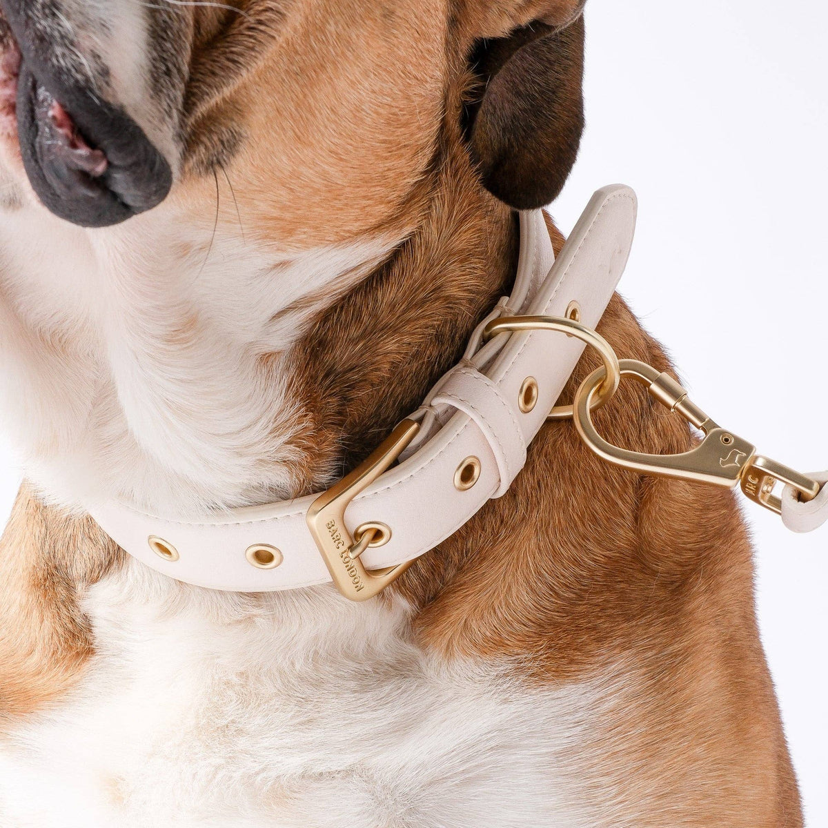 Luxury Light Ivory dog collar in textured microfibre vegan leather by Barc London.
