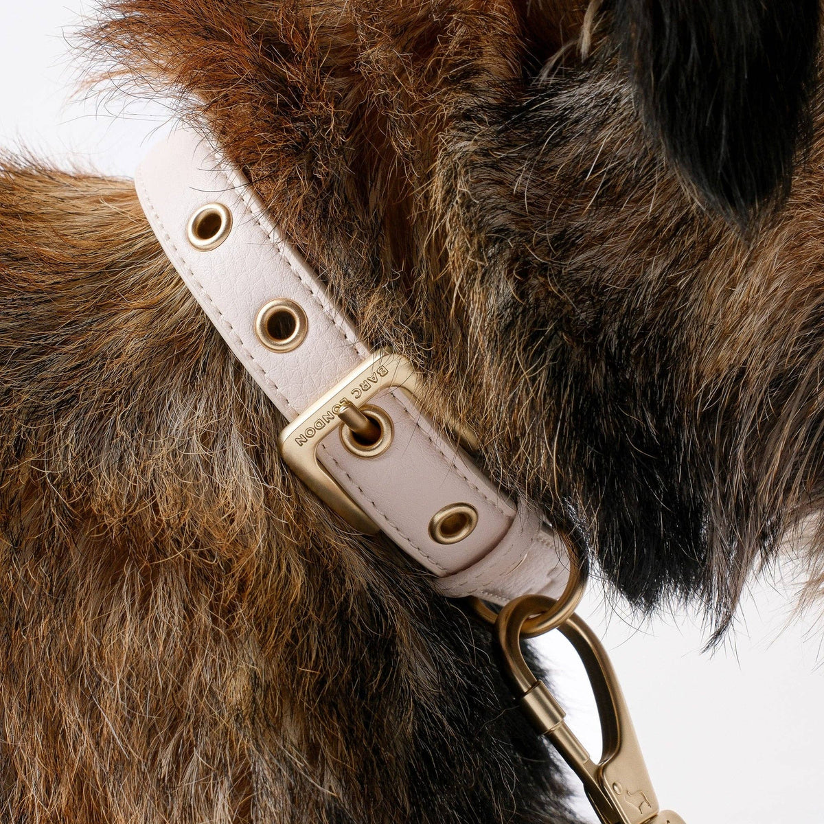 Luxury Light Ivory dog collar in textured microfibre vegan leather by Barc London.