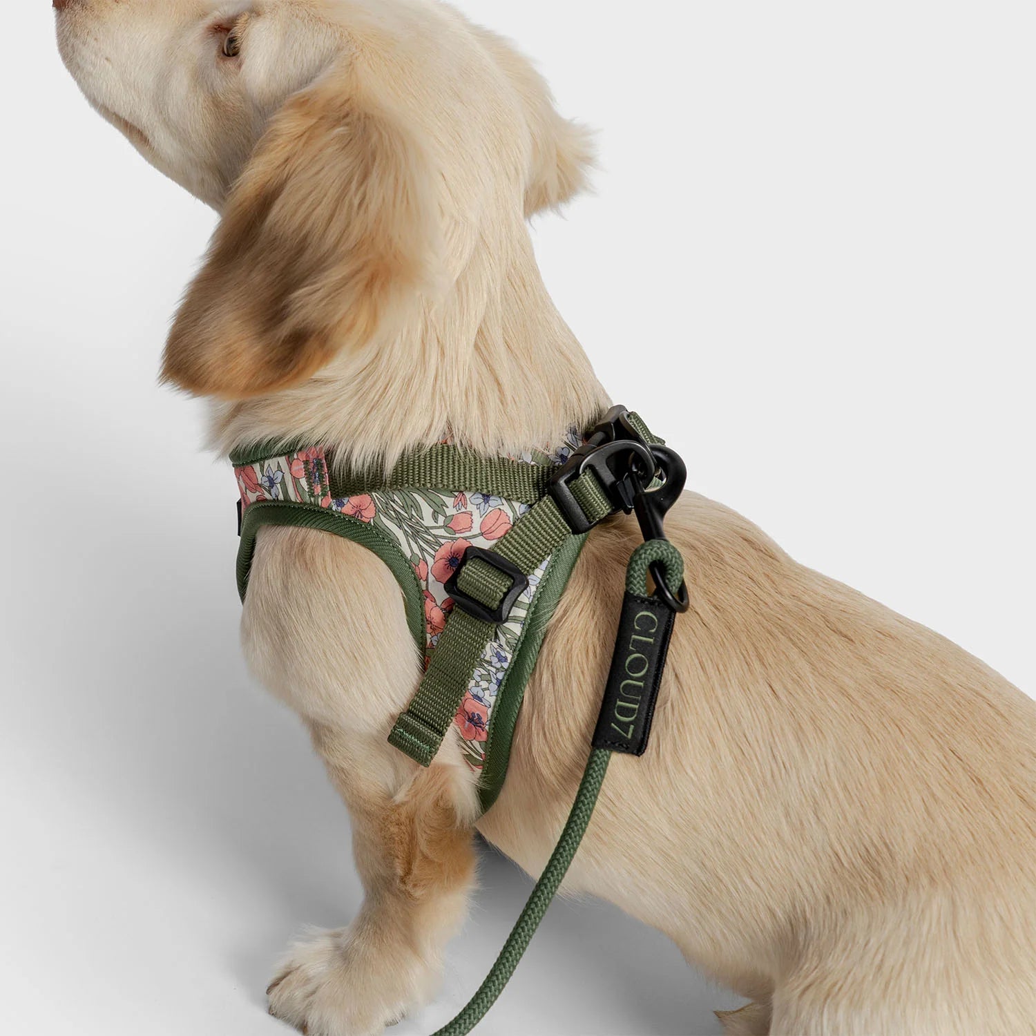 Cloud7 LTTL rope dog lead featuring adjustable hand loop and lightweight hardware.
