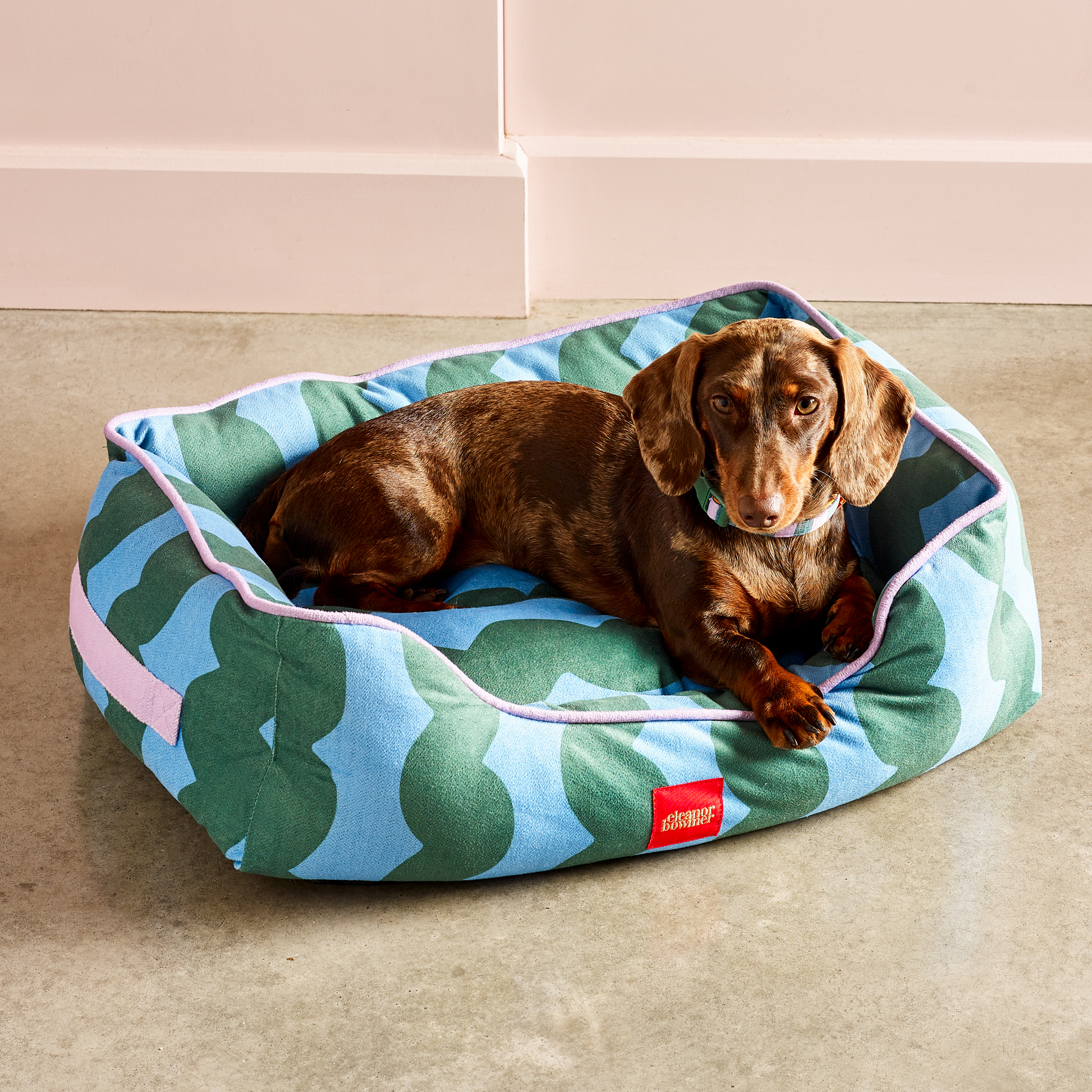 Stylish basket dog bed with removable cushion and colourful contemporary design.