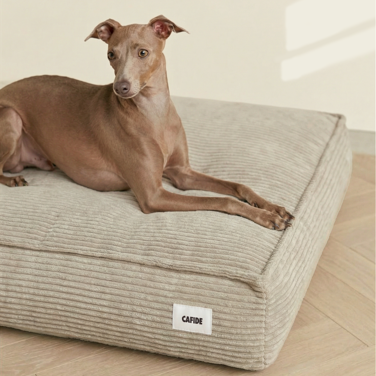 Premium corduroy dog bed in beige made in Spain with recycled foam filling.