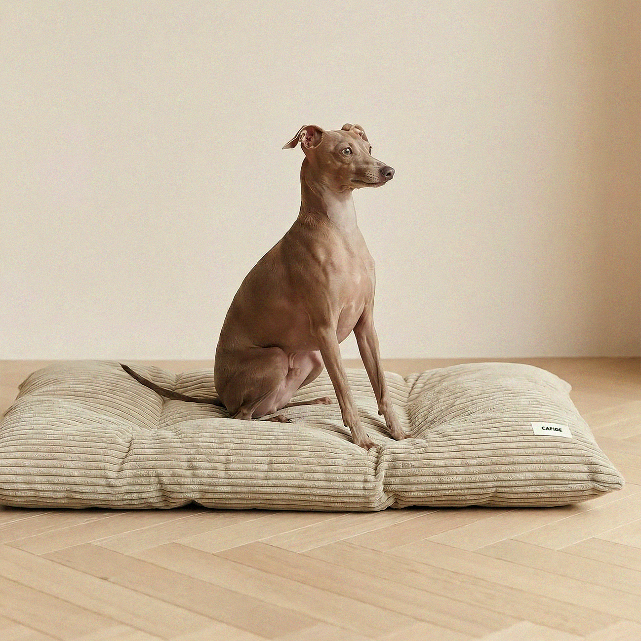 Soft corduroy dog cushion designed for comfortable everyday sleeping.