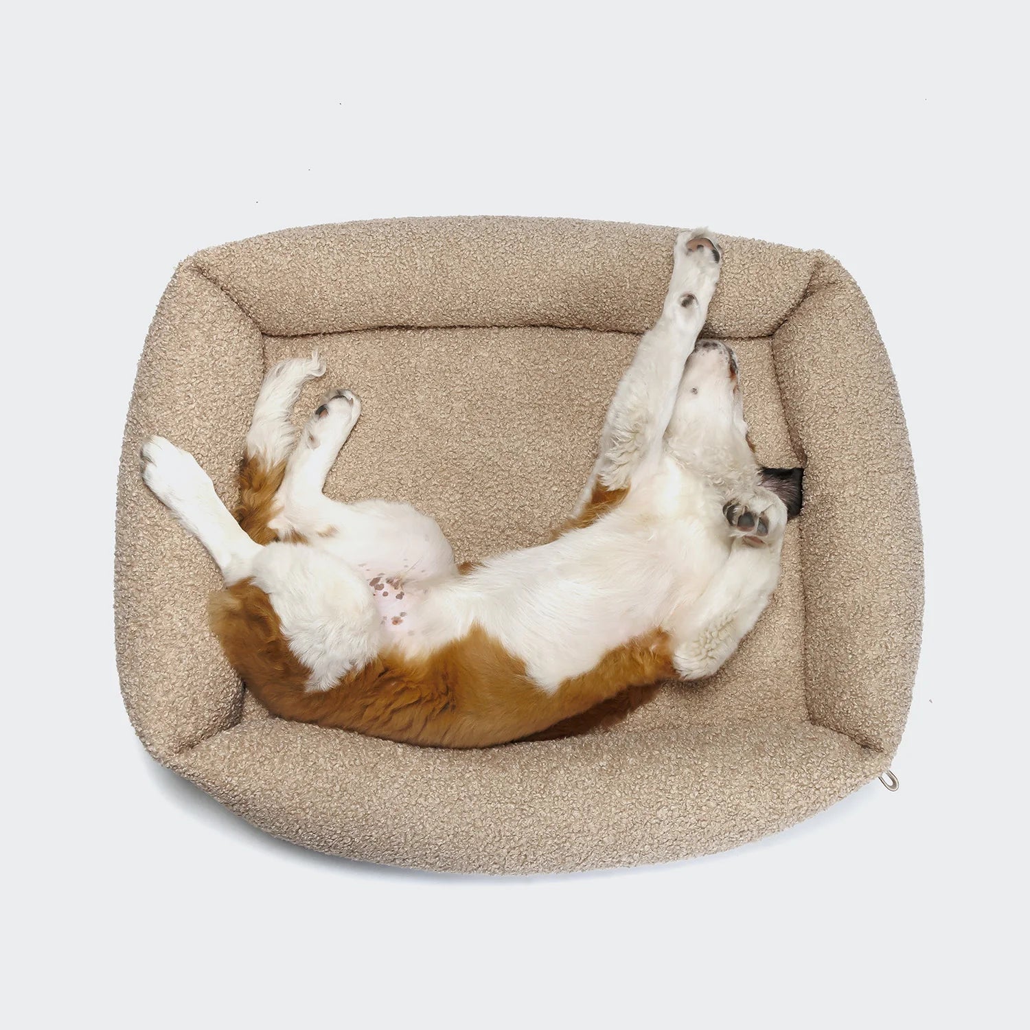 Premium Cloud7 dog bed featuring soft curl fabric and deep supportive cushioning.
