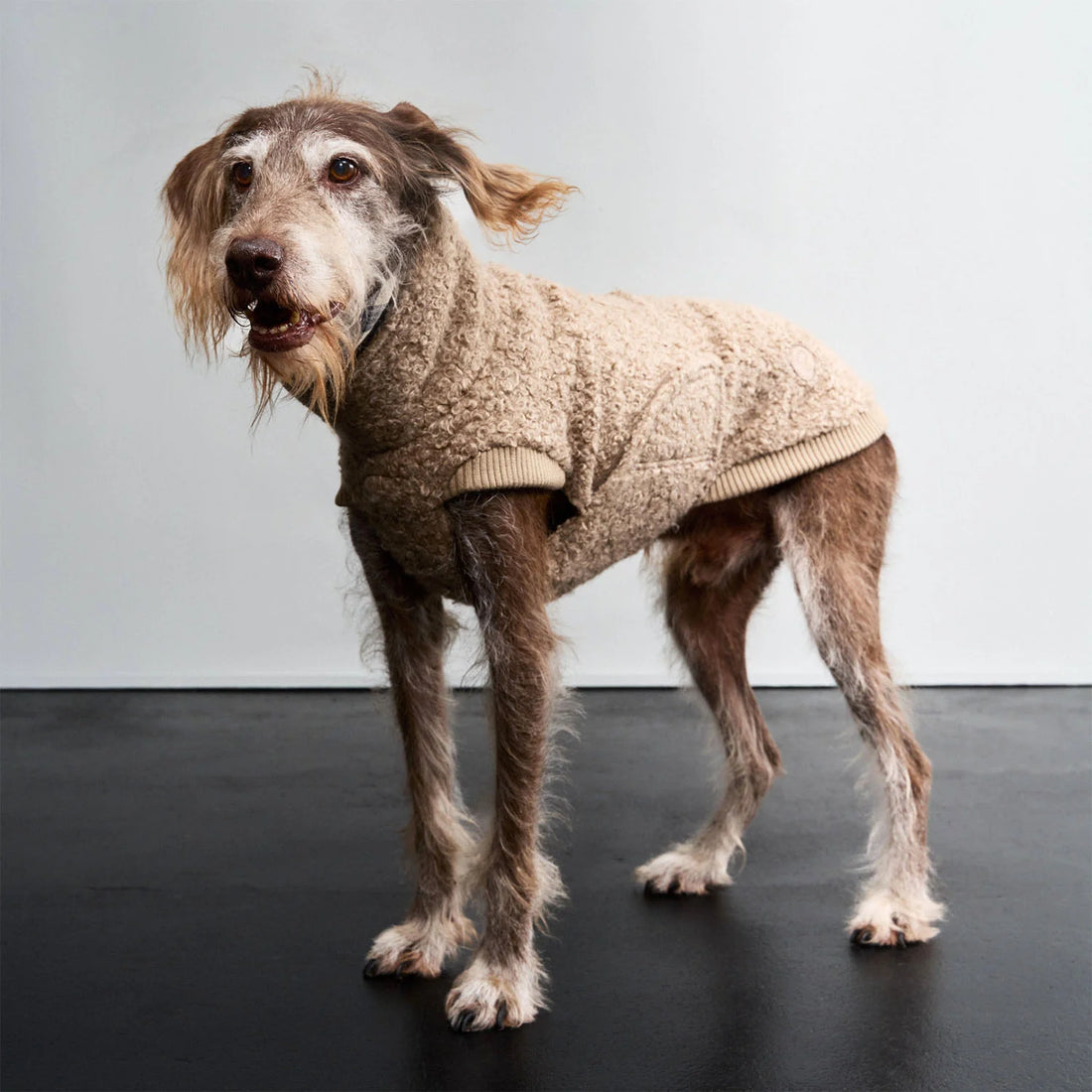 Cloud7 Gotland dog sweater featuring textured bouclé fabric and warm inner lining.