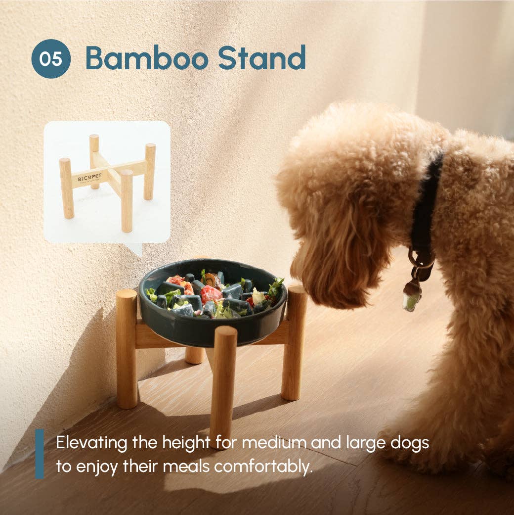 Dog looking at a elevated food bowl on a bamboo stand with a beige background.