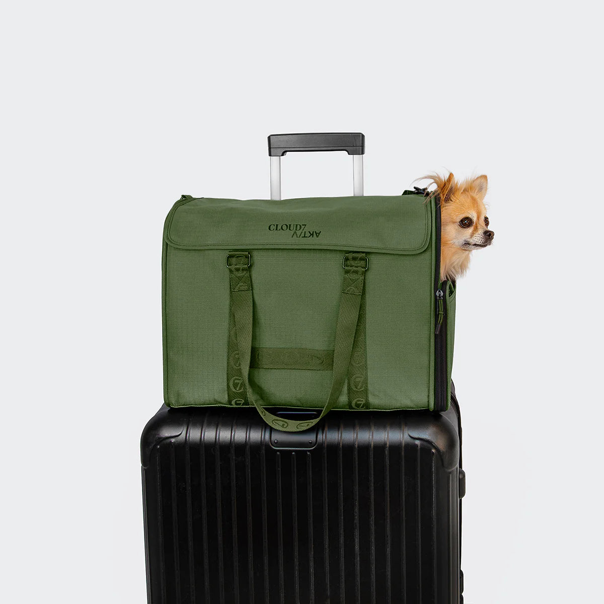 Green pet carrier on top of a black suitcase with a small dog peeking out.