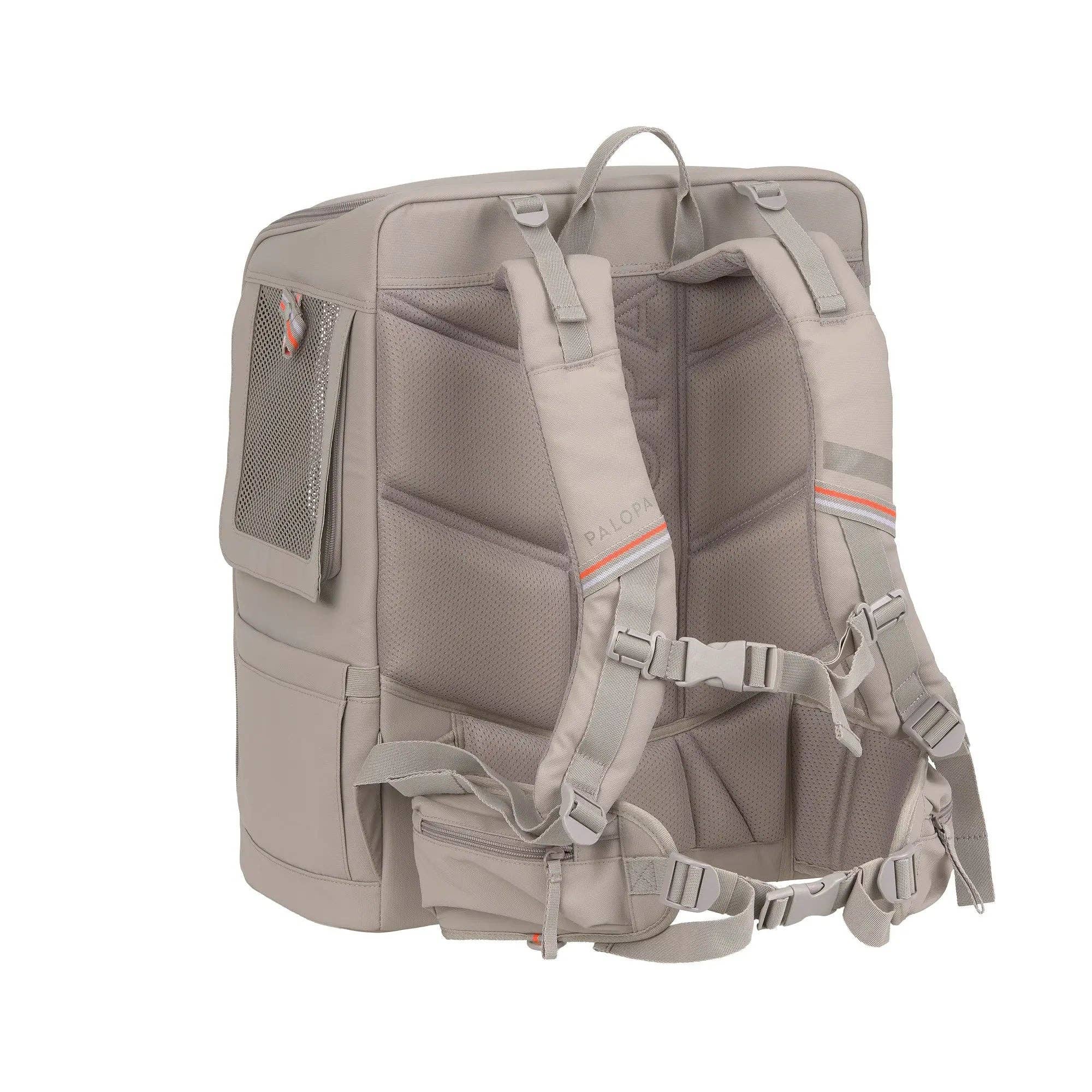 Small dog travelling comfortably inside the PALOPA Kari backpack carrier with breathable mesh windows and padded interior.