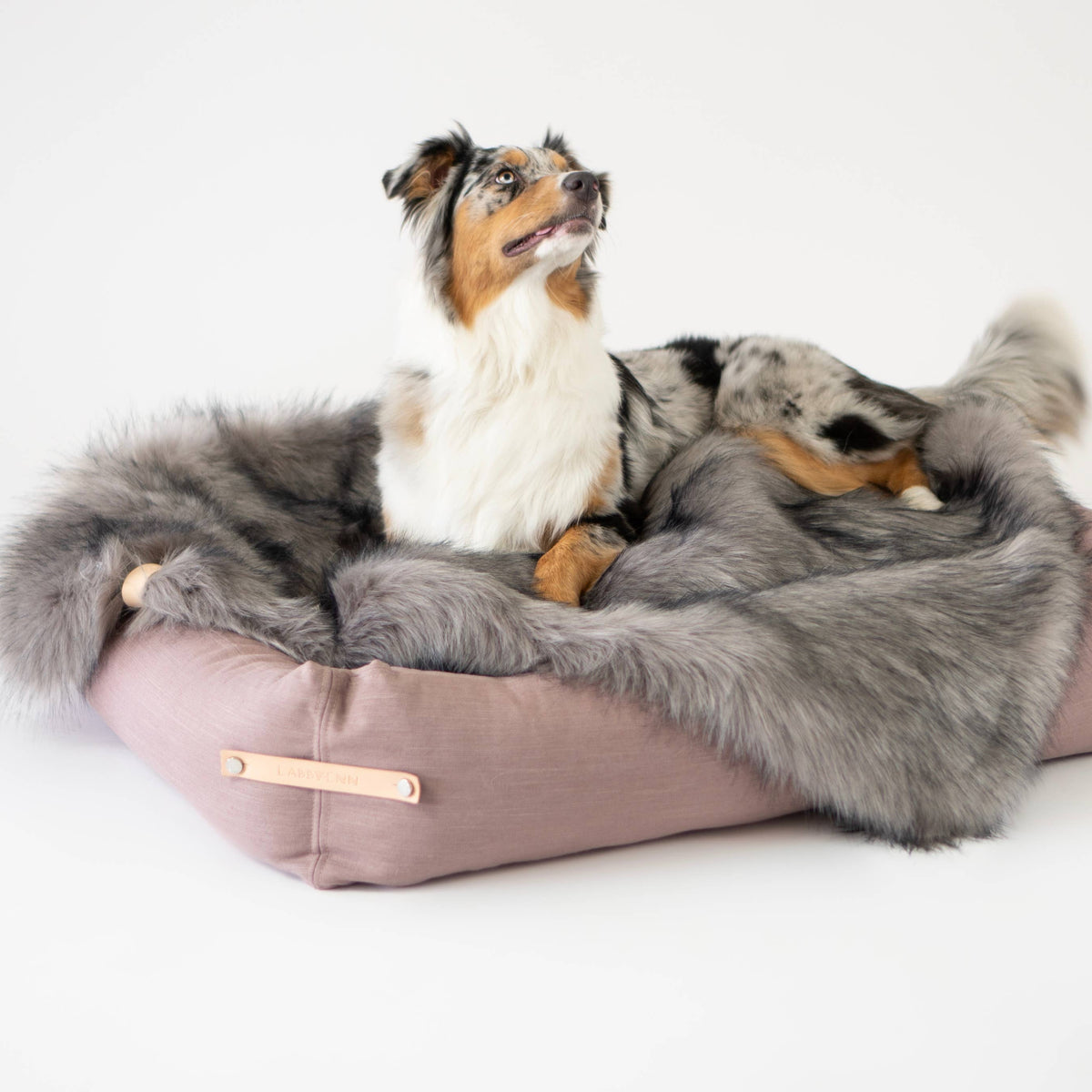 Labbvenn FÖRA plush dog blanket with full-grain leather detail.