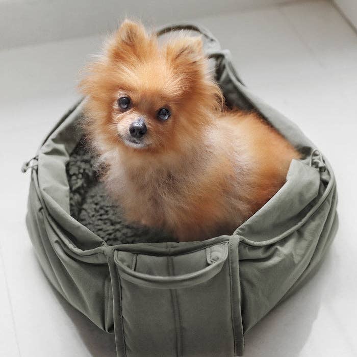 Small dog sitting inside a green pet carrier on a light background