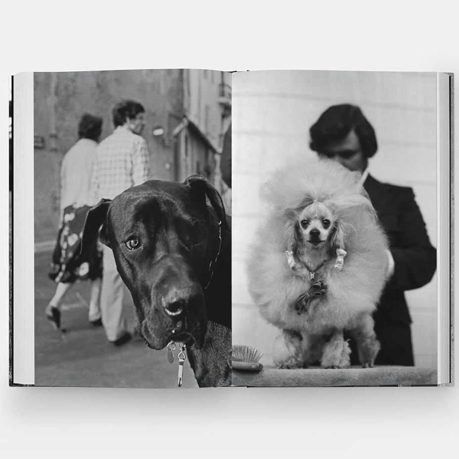 Beautiful coffee table book showcasing Elliott Erwitt's celebrated dog photography collection.