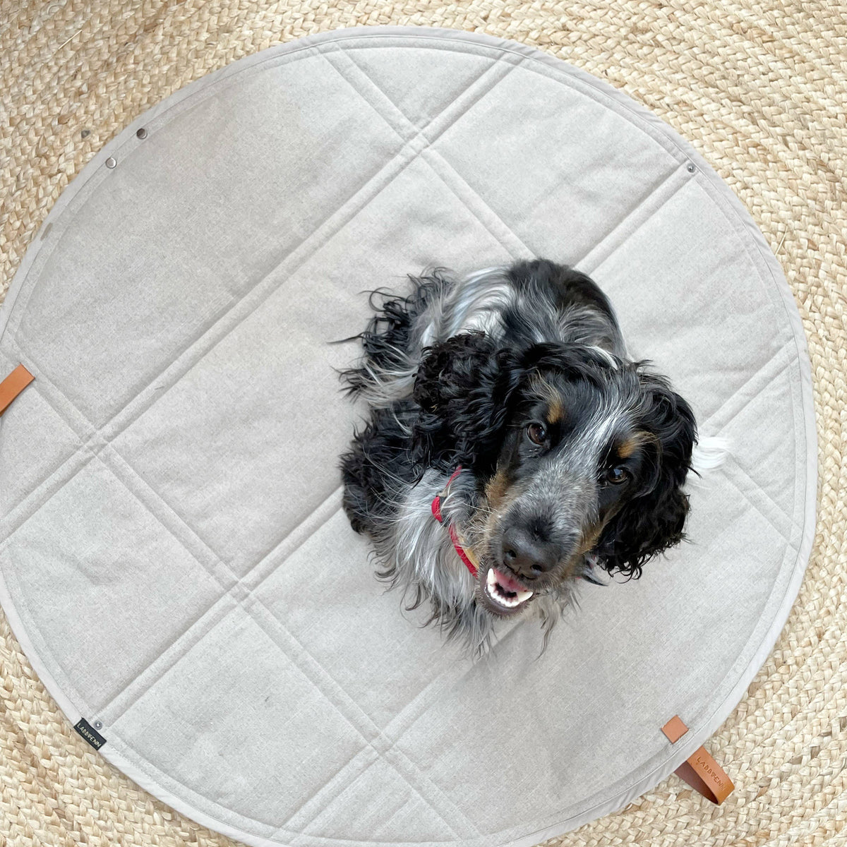 Labbvenn OKKA portable dog resting mat designed for stylish travel with dogs.