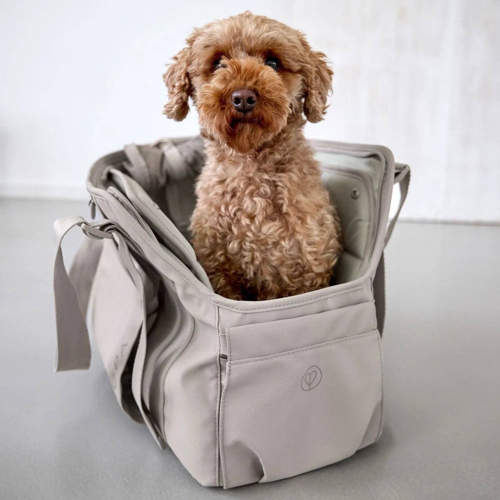 Premium dog carrier bag designed for safe and comfortable travel with small dogs and puppies.