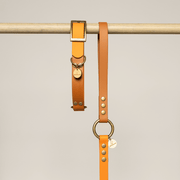 Two tan leather dog collars with brass hardware hang from a light wood rod against a warm beige background. One collar has a buckle closure and a round tag, while the other is a long strap with metal studs and a large ring.