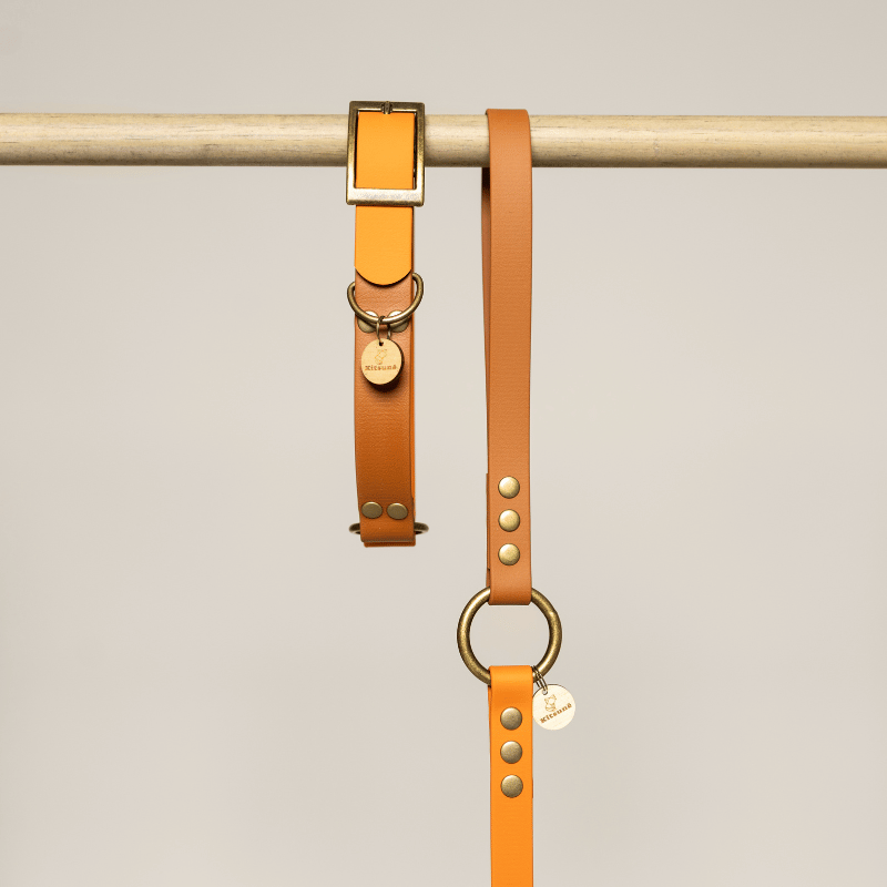 Two tan leather dog collars with brass hardware hang from a light wood rod against a warm beige background. One collar has a buckle closure and a round tag, while the other is a long strap with metal studs and a large ring.