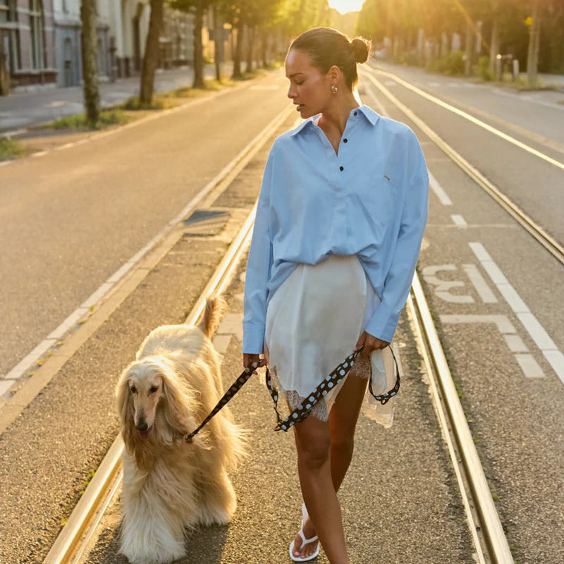 Durable 200cm dog lead with a woven brown and blue design.