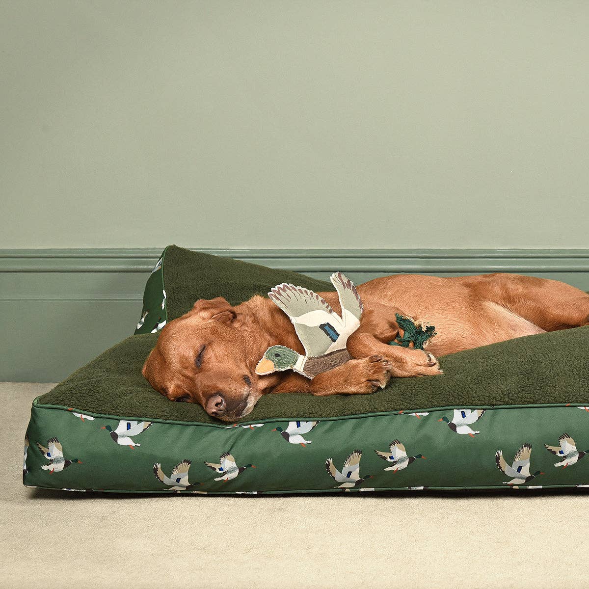 Country-inspired duck dog toy for fetch, tug and interactive play.