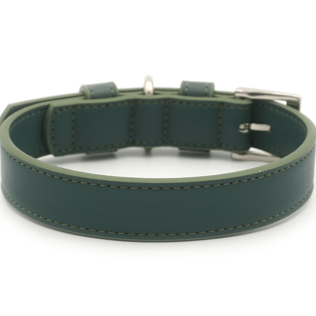 Luxury green dog collar by Ralph & Co with a timeless leather-look finish