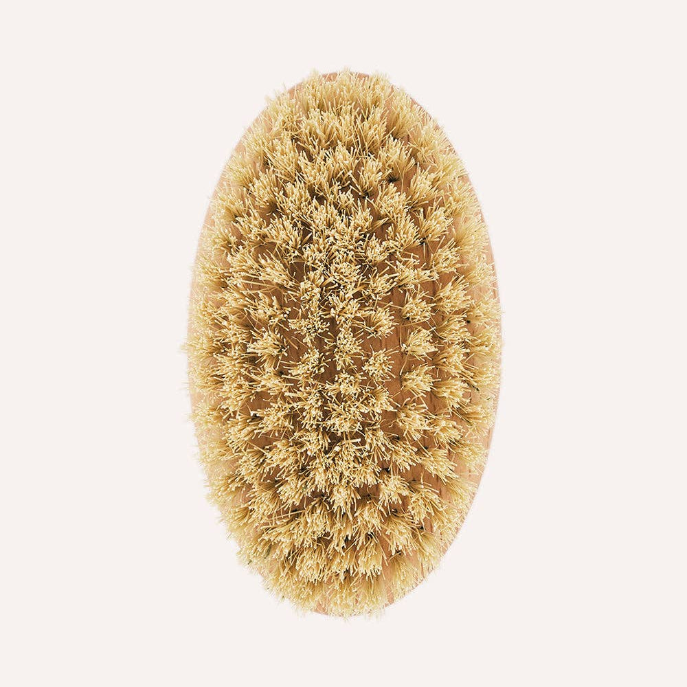 Natural grooming brush that removes loose hair and massages the skin of short-haired dogs.