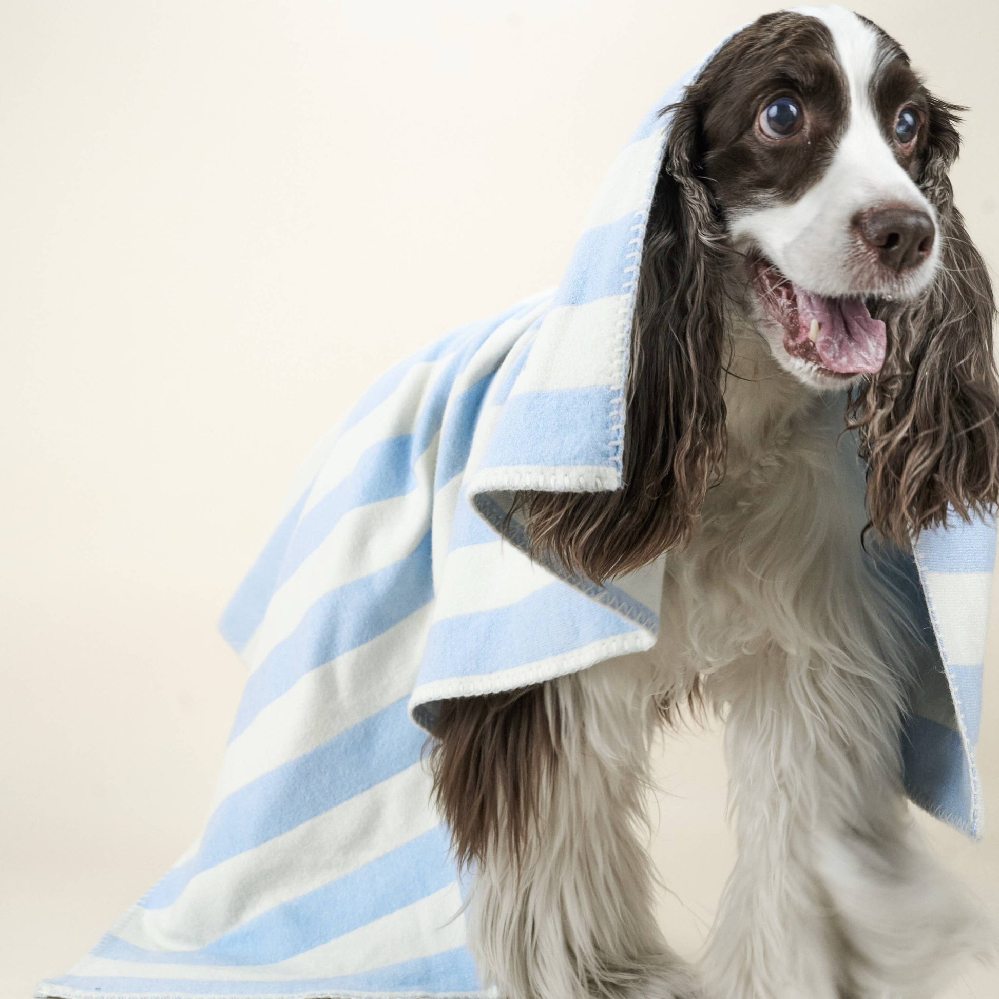 Blue and cream striped pet blanket for dog beds, sofas and contemporary homes.