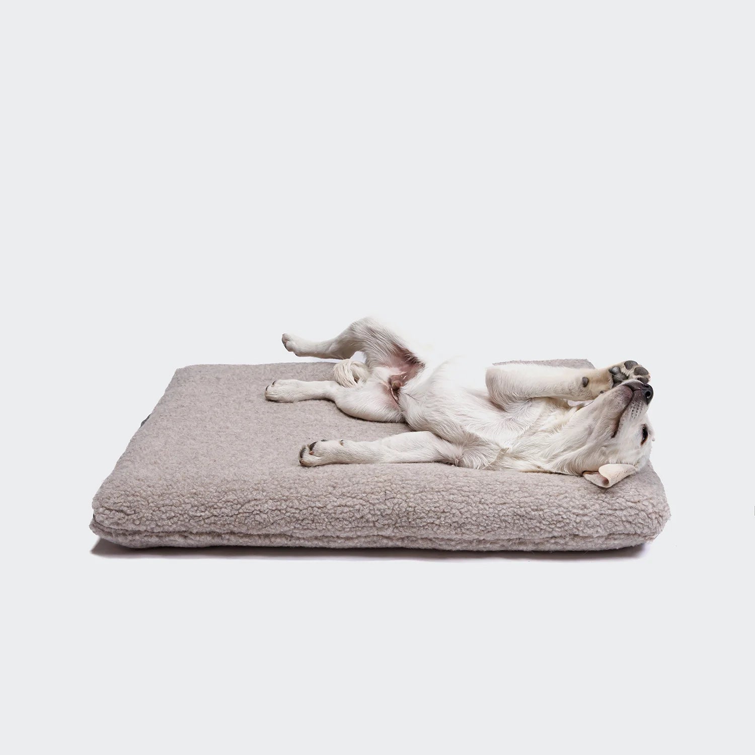 Cloud7 Siesta Teddy dog bed designed for comfort, security and restful night sleep