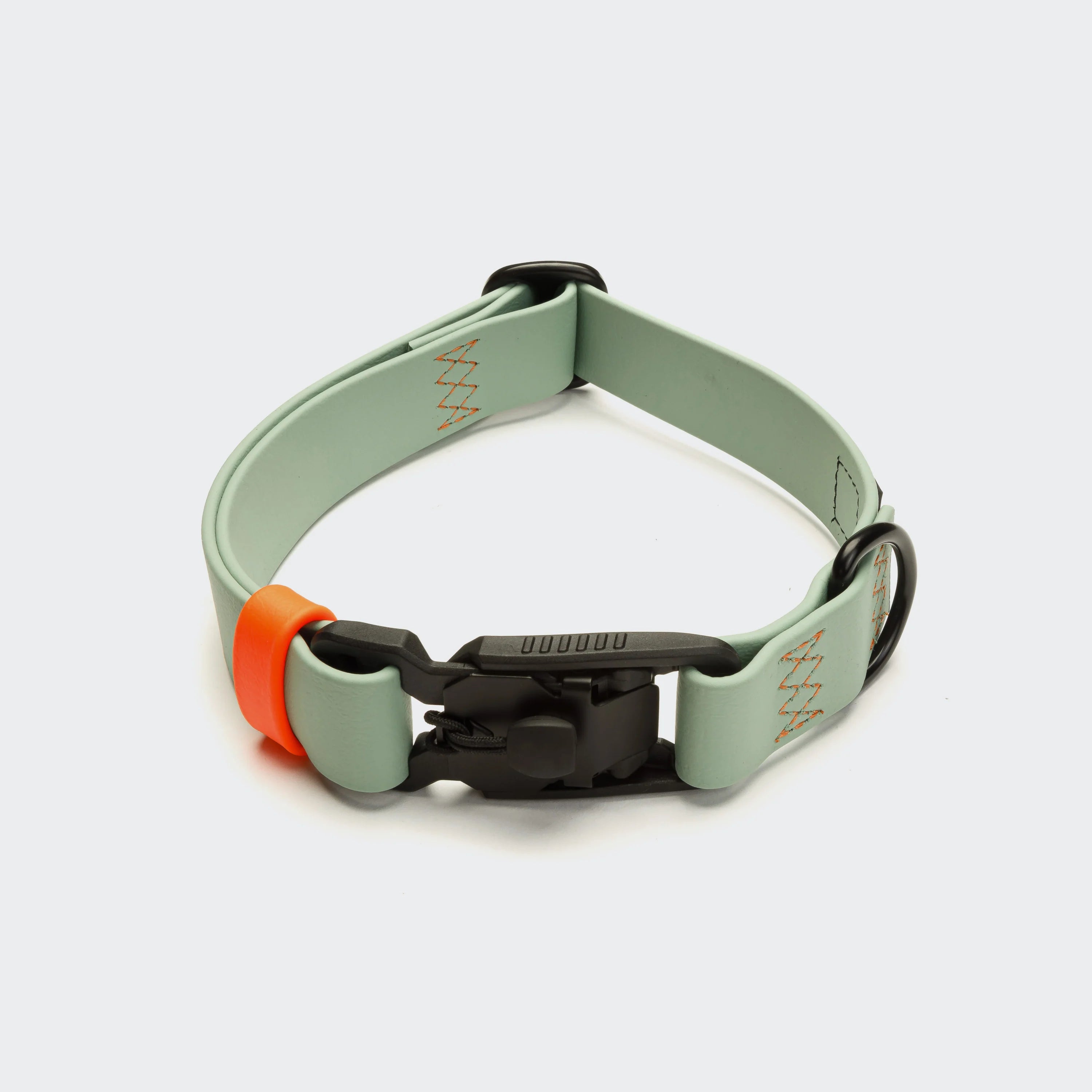 Dog collar with a green strap and black buckle on a white background