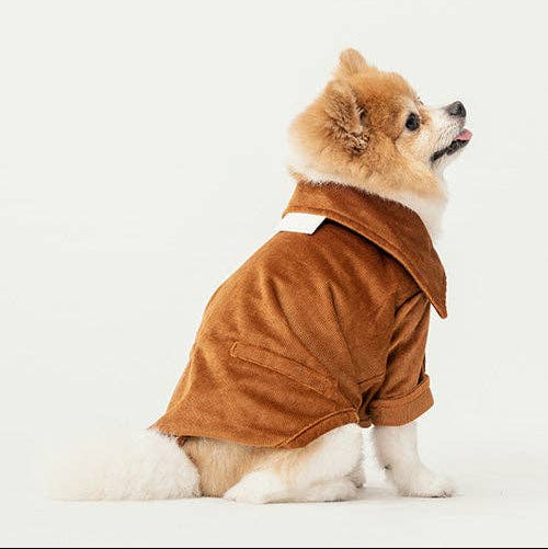 Premium orange dog shirt with oversized collar and snap-button closure.