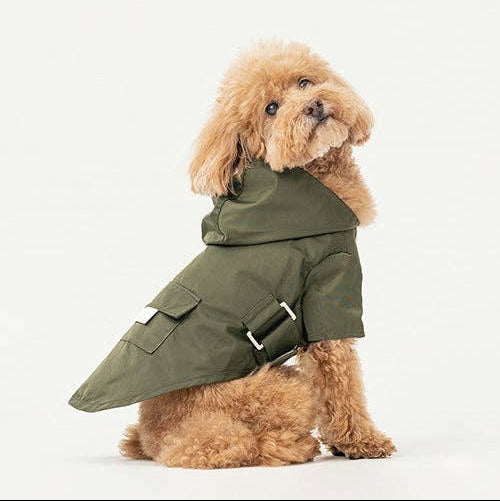 Stylish green dog raincoat designed for wet weather walks.