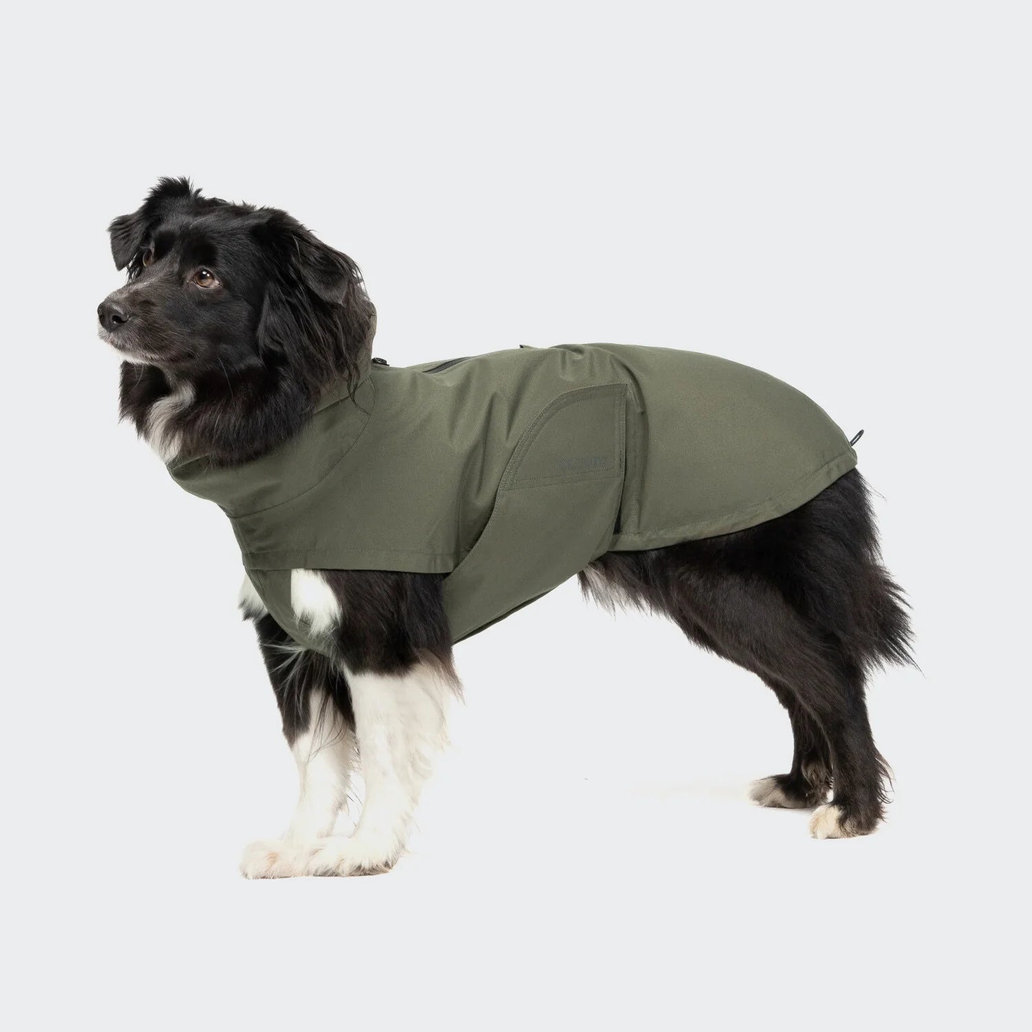 Cloud7 Dublin 2.0 dog raincoat featuring waterproof fabric, taped seams and belly protection.