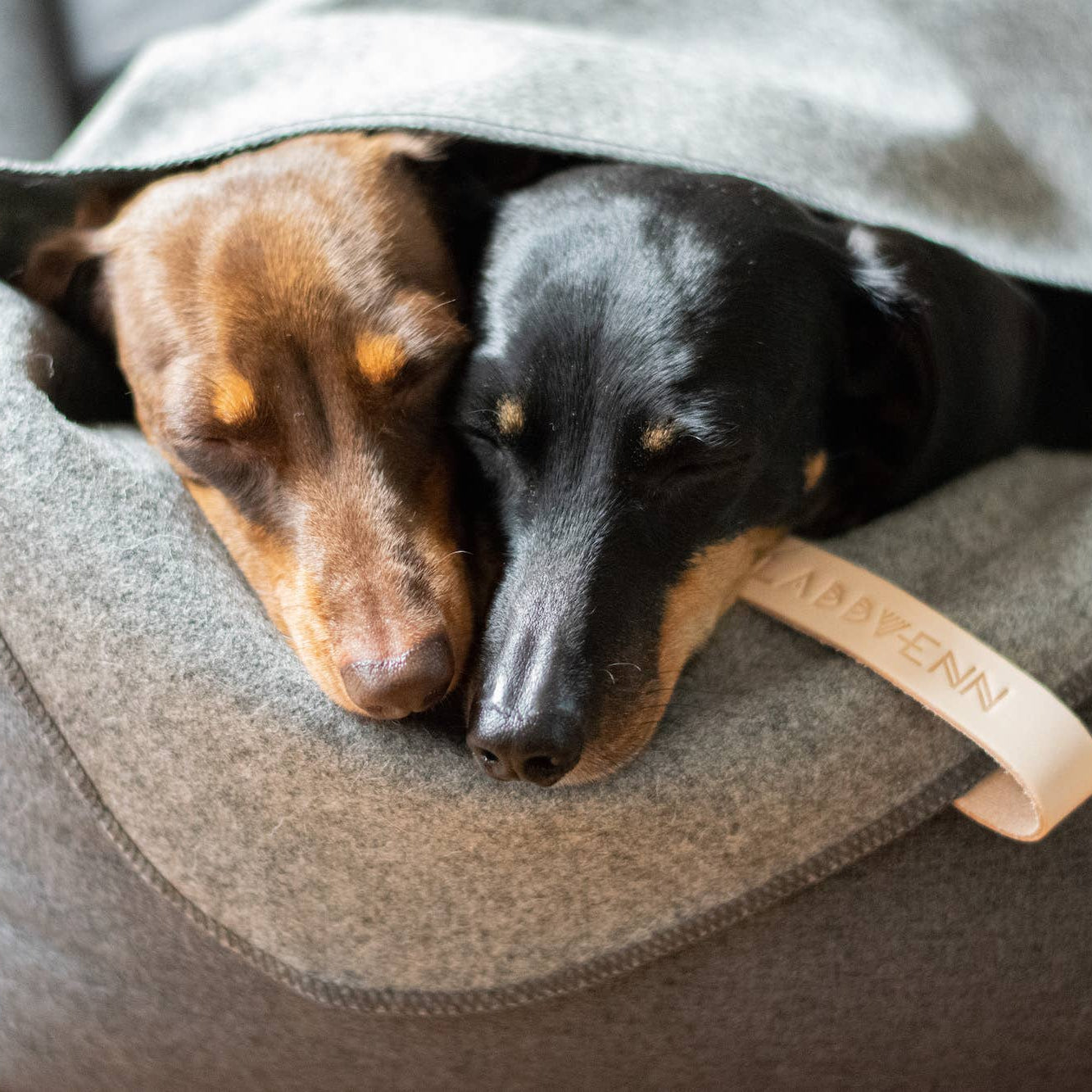 Premium 70% wool dog blanket by Labbvenn for warm and comfortable resting.