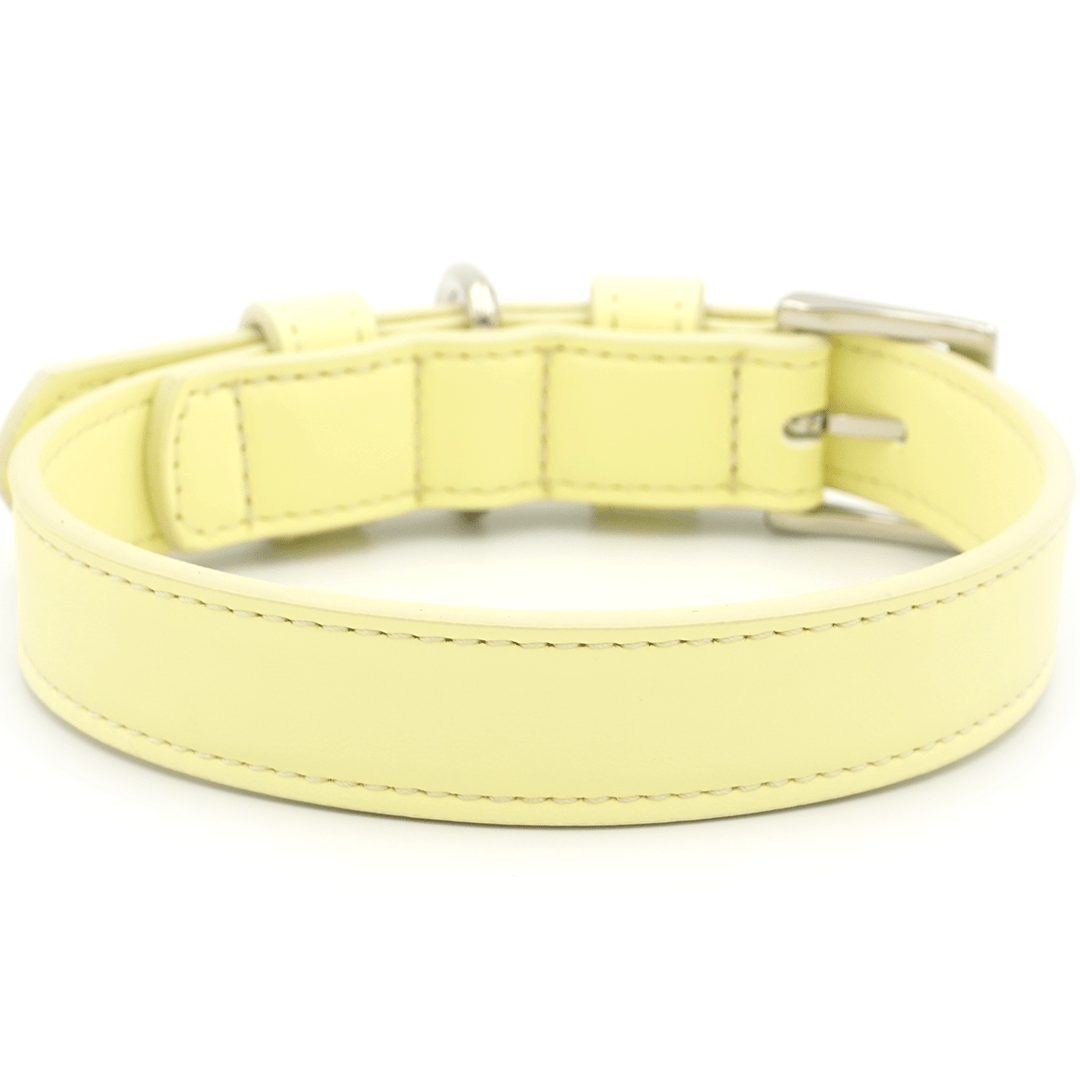 Luxury yellow dog collar by Ralph & Co with a refined leather-look finish