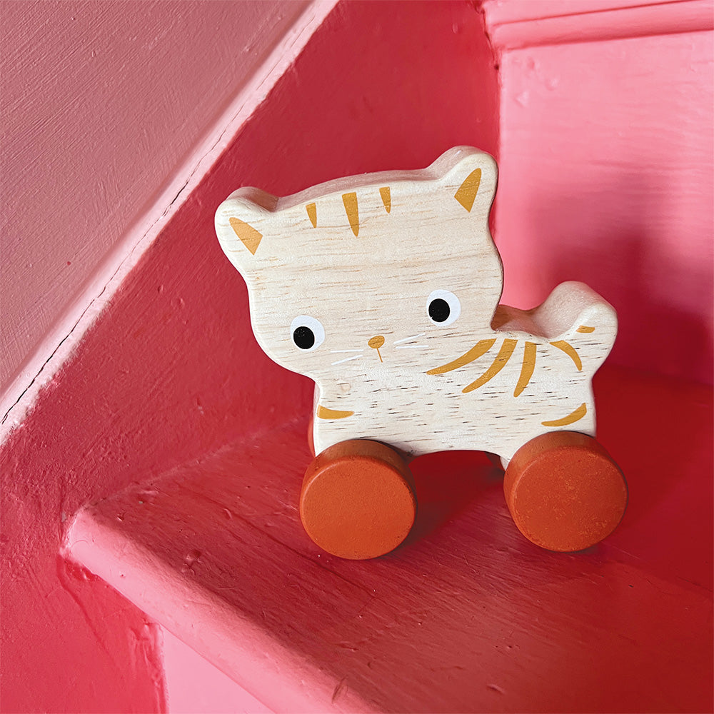 Mentari Kitten On Wheels