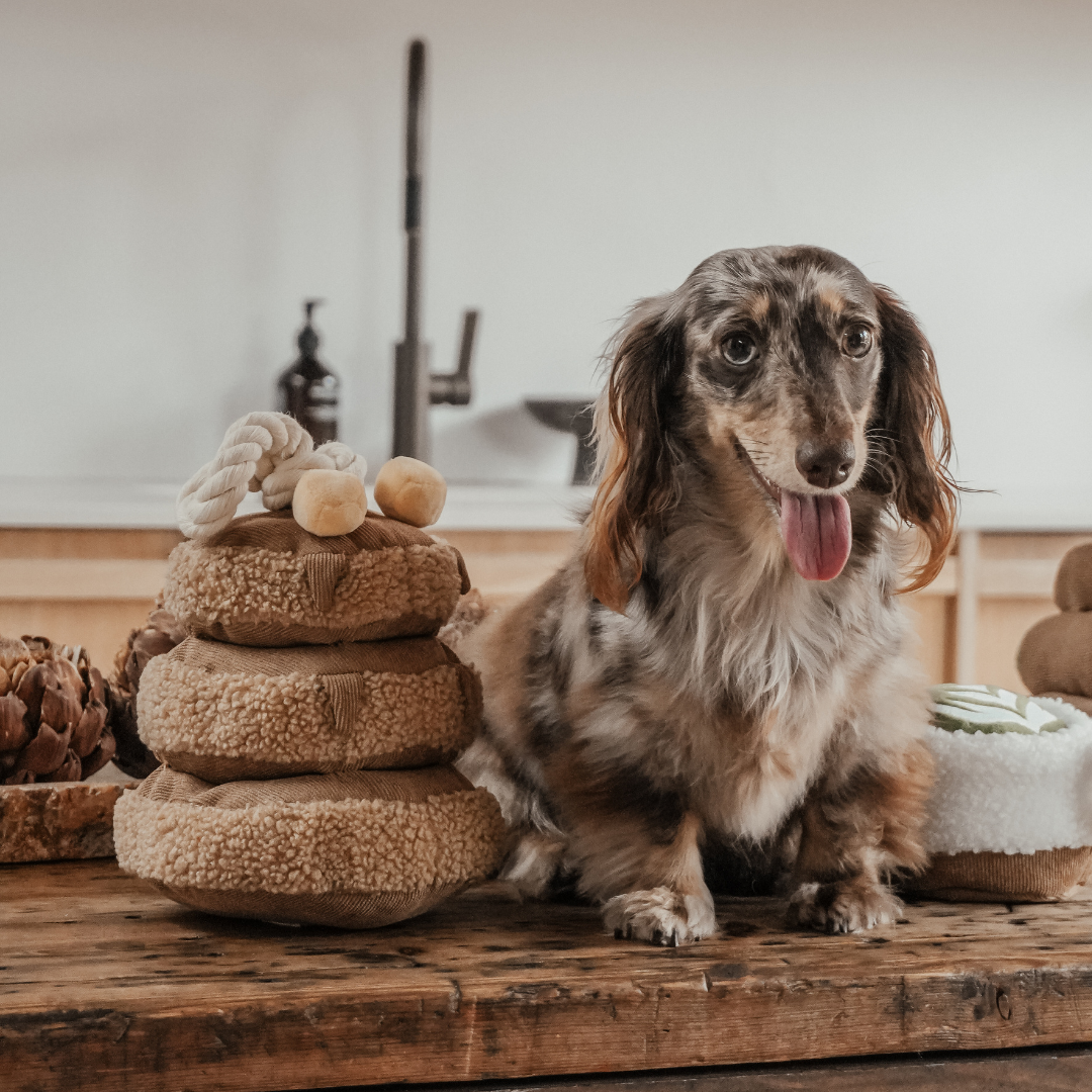 Maple pancake stack shaped dog toy by By Teddy
