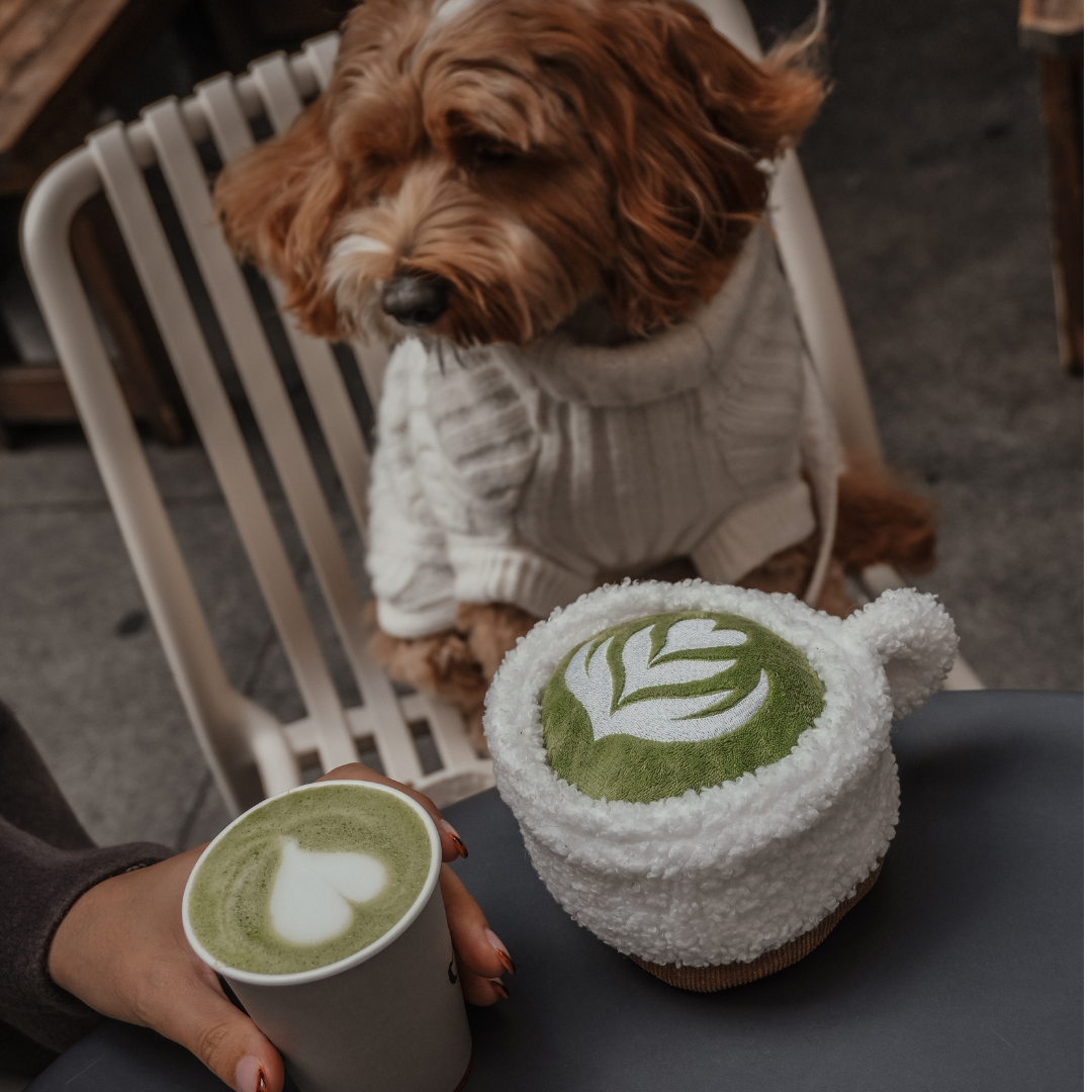 Matcha latte cup shaped dog toy by By Teddy