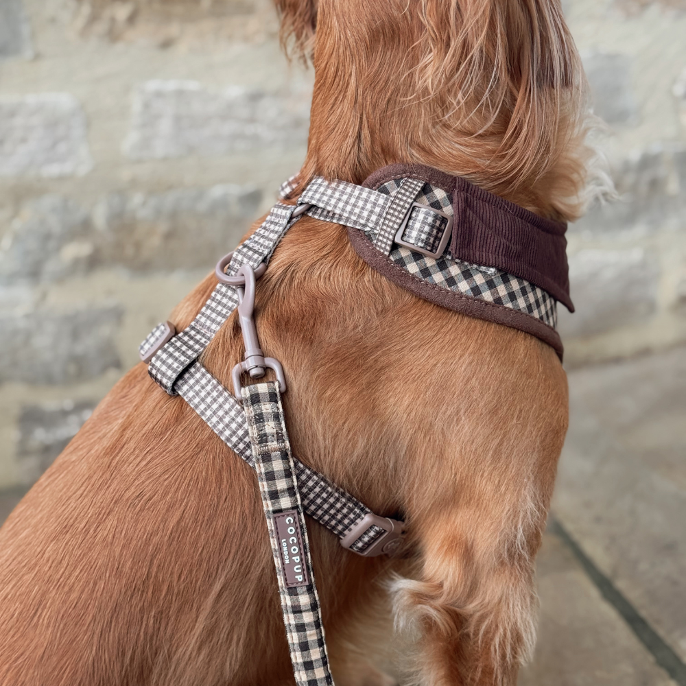 Cotswold Check dog lead designed to coordinate with the matching harness and collar.
