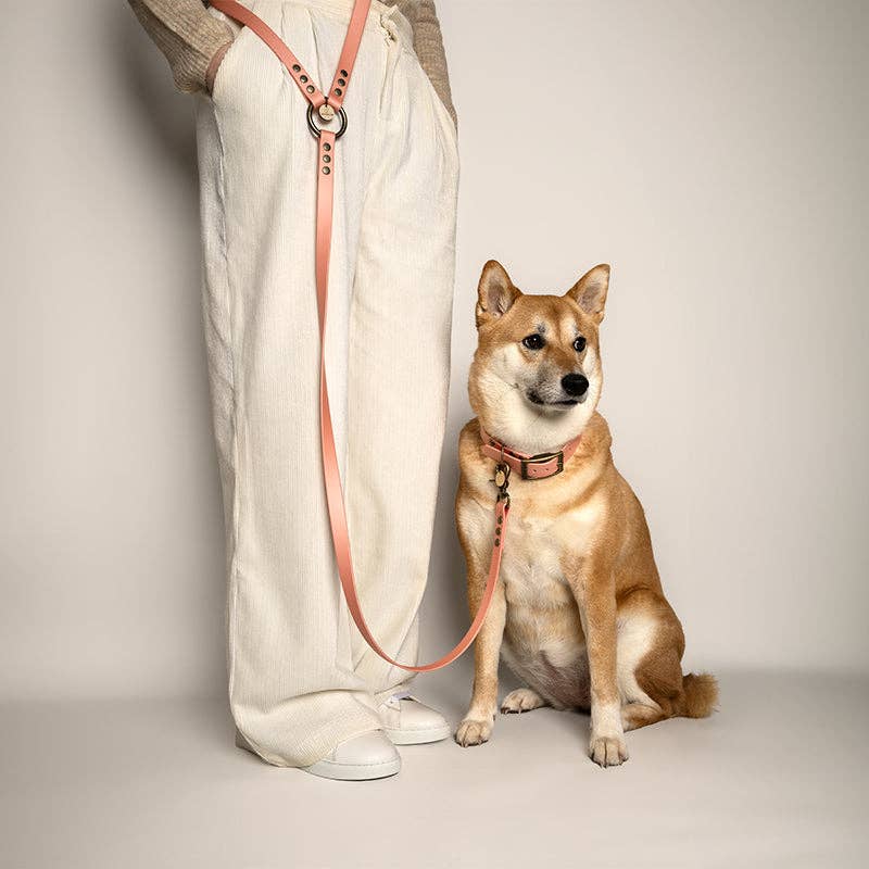 Dog on a leash sitting next to a person wearing a white outfit with a beige sweater.
