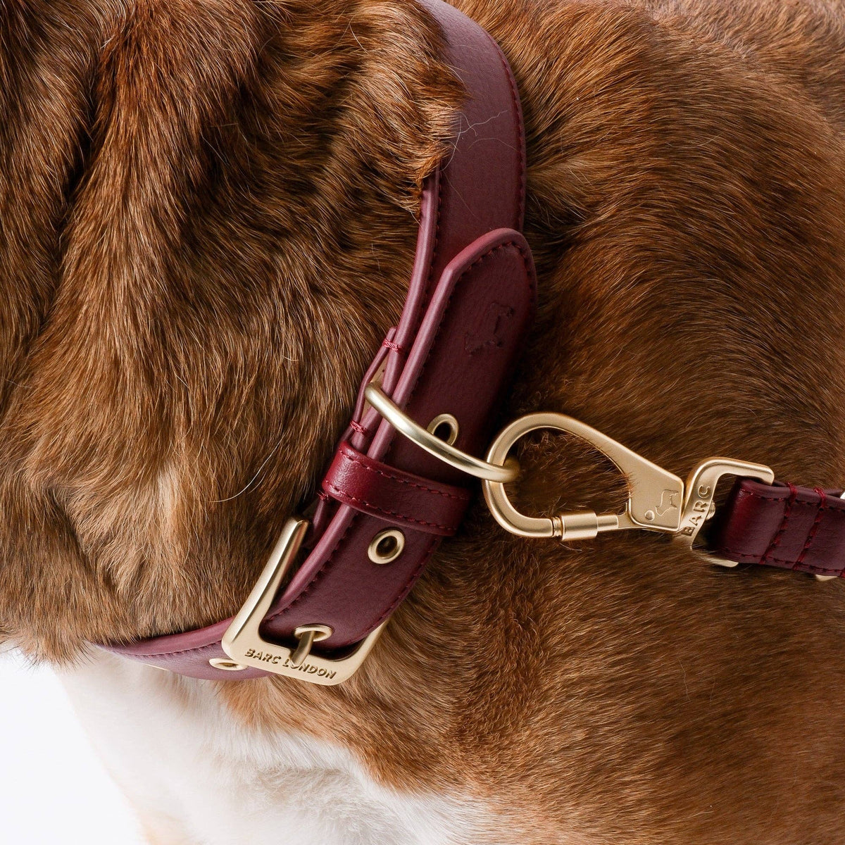 Deep Merlot red microfibre leather dog collar by Barc London.