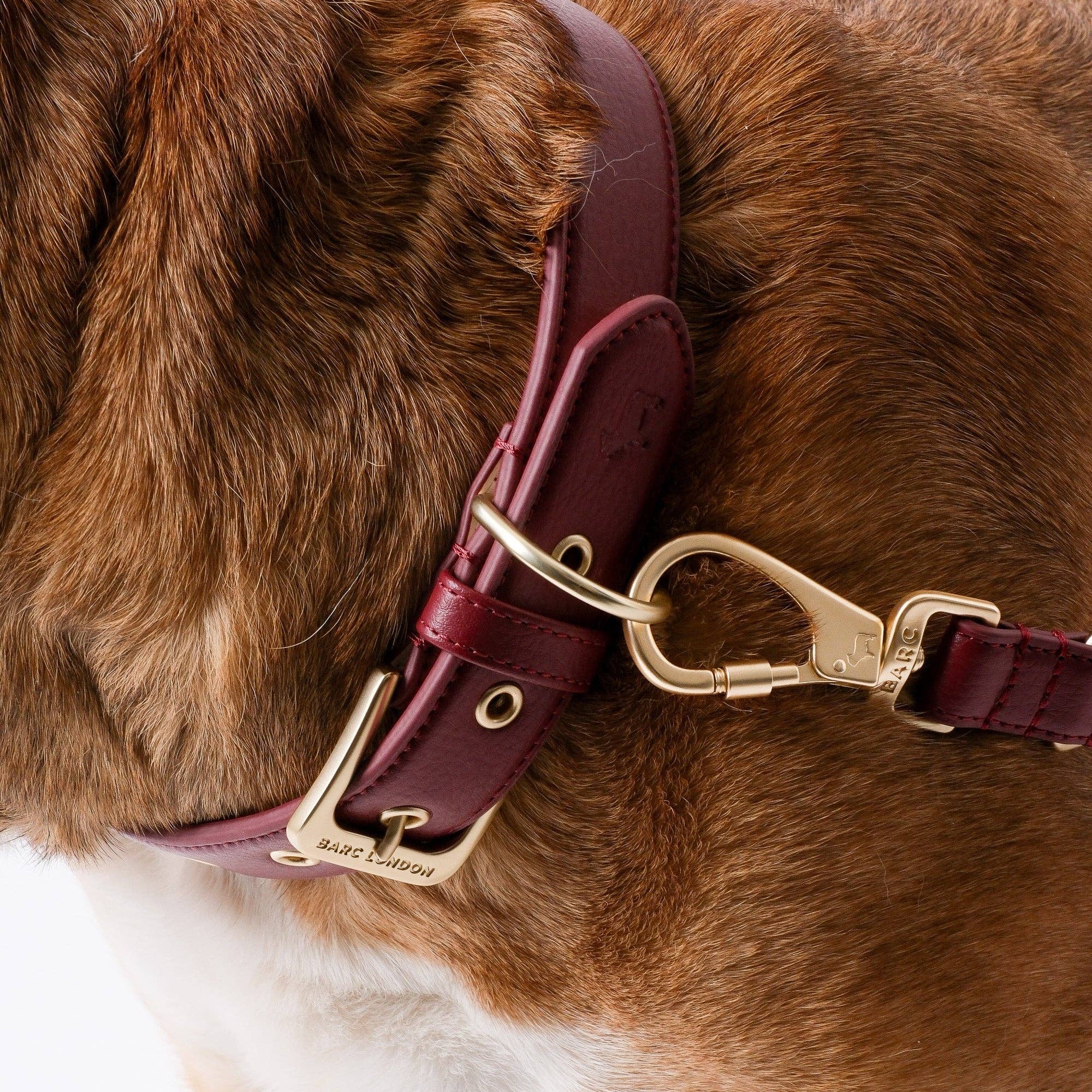 Deep Merlot red microfibre leather dog collar by Barc London.