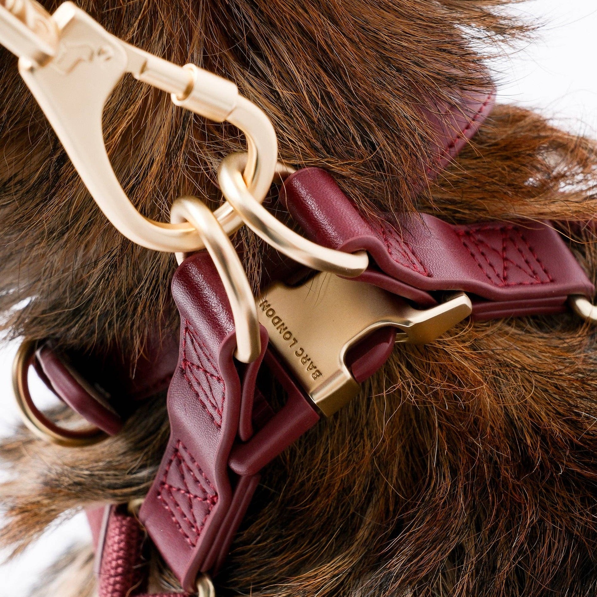 Deep Merlot red Y-shaped dog harness by Barc London.