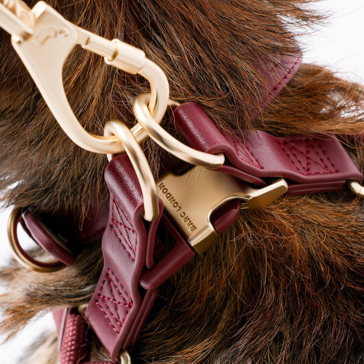 Deep Merlot red Y-shaped dog harness by Barc London.