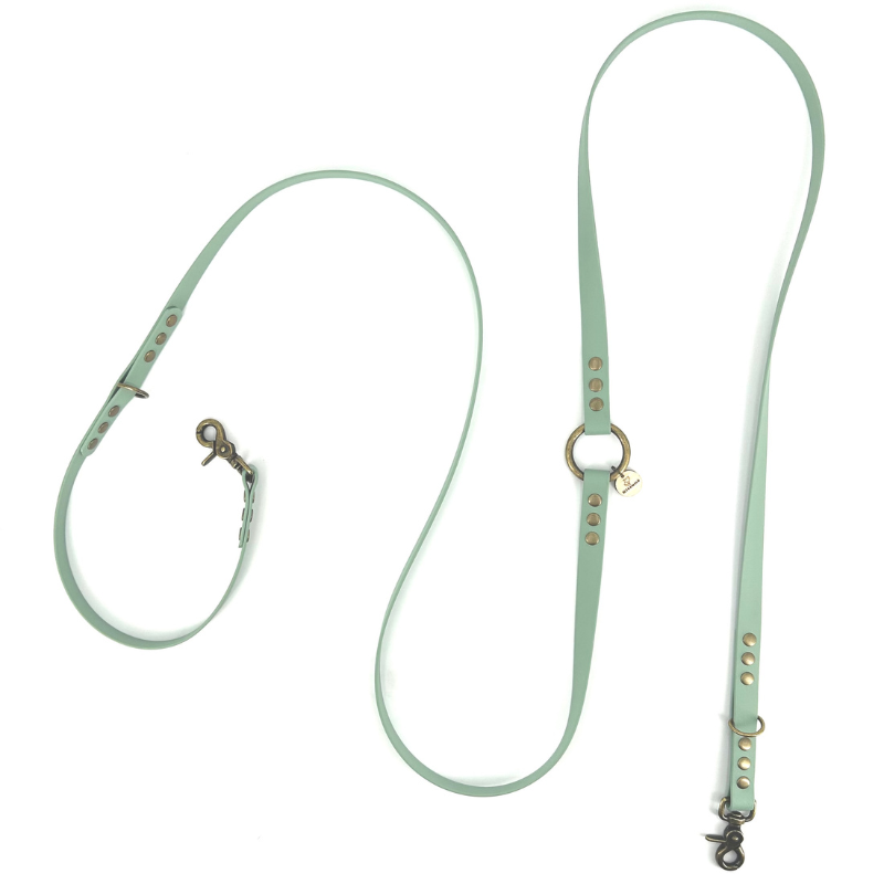 A mint green leather dog leash with brass hardware, including a snap hook clasp, adjustment holes, and a small heart-shaped tag, displayed on a clean white background.