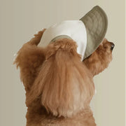 Moonrise Chalky pet hat featuring a lightweight bucket hat design for UV and light rain protection.